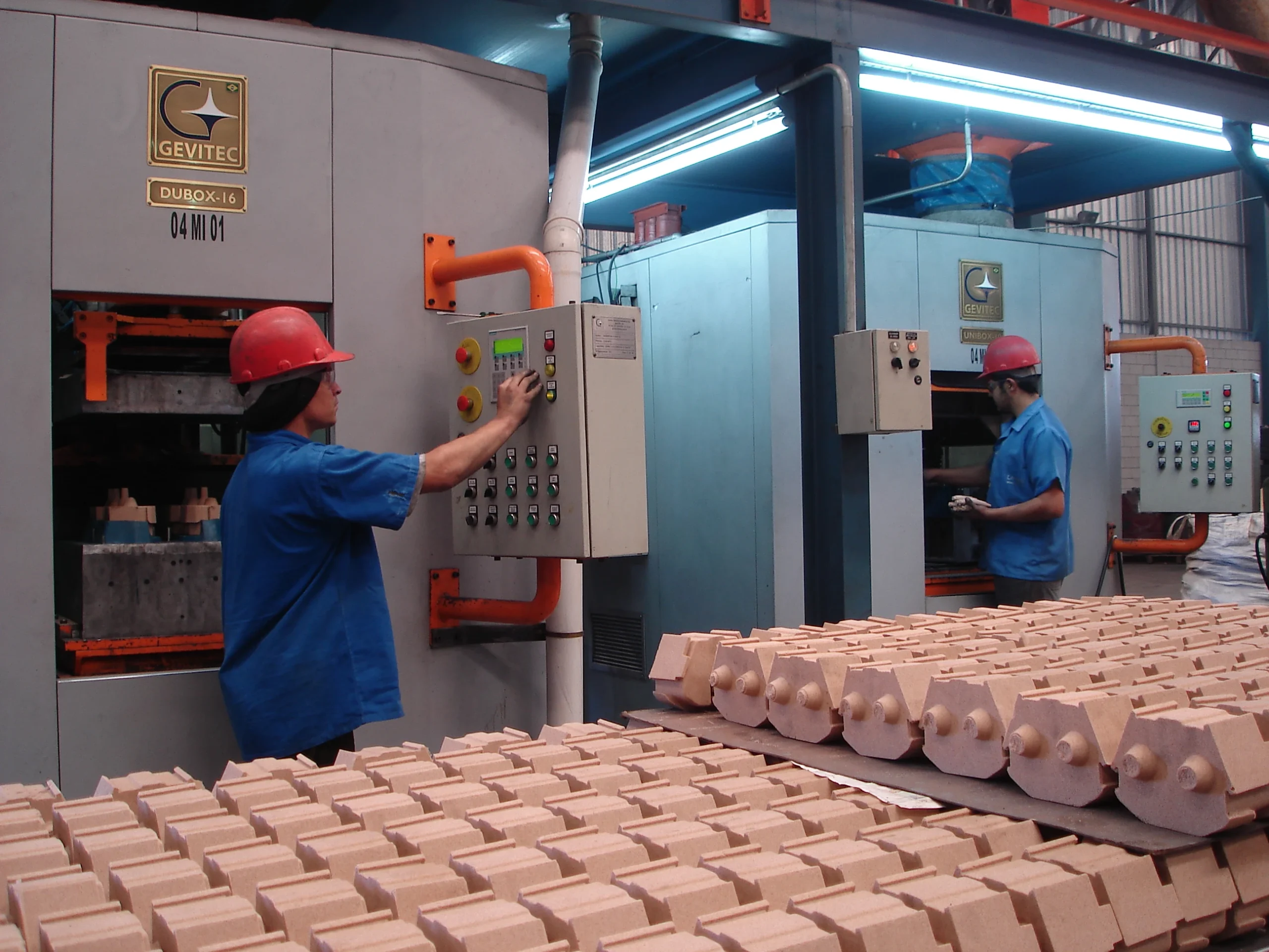 carnemi_002_30_06_06__1x